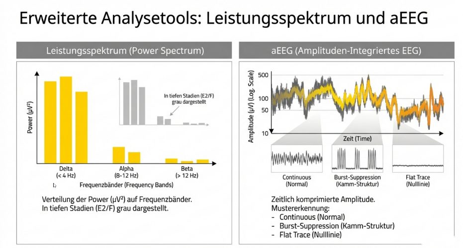 Erweiterte Analyseoptionen