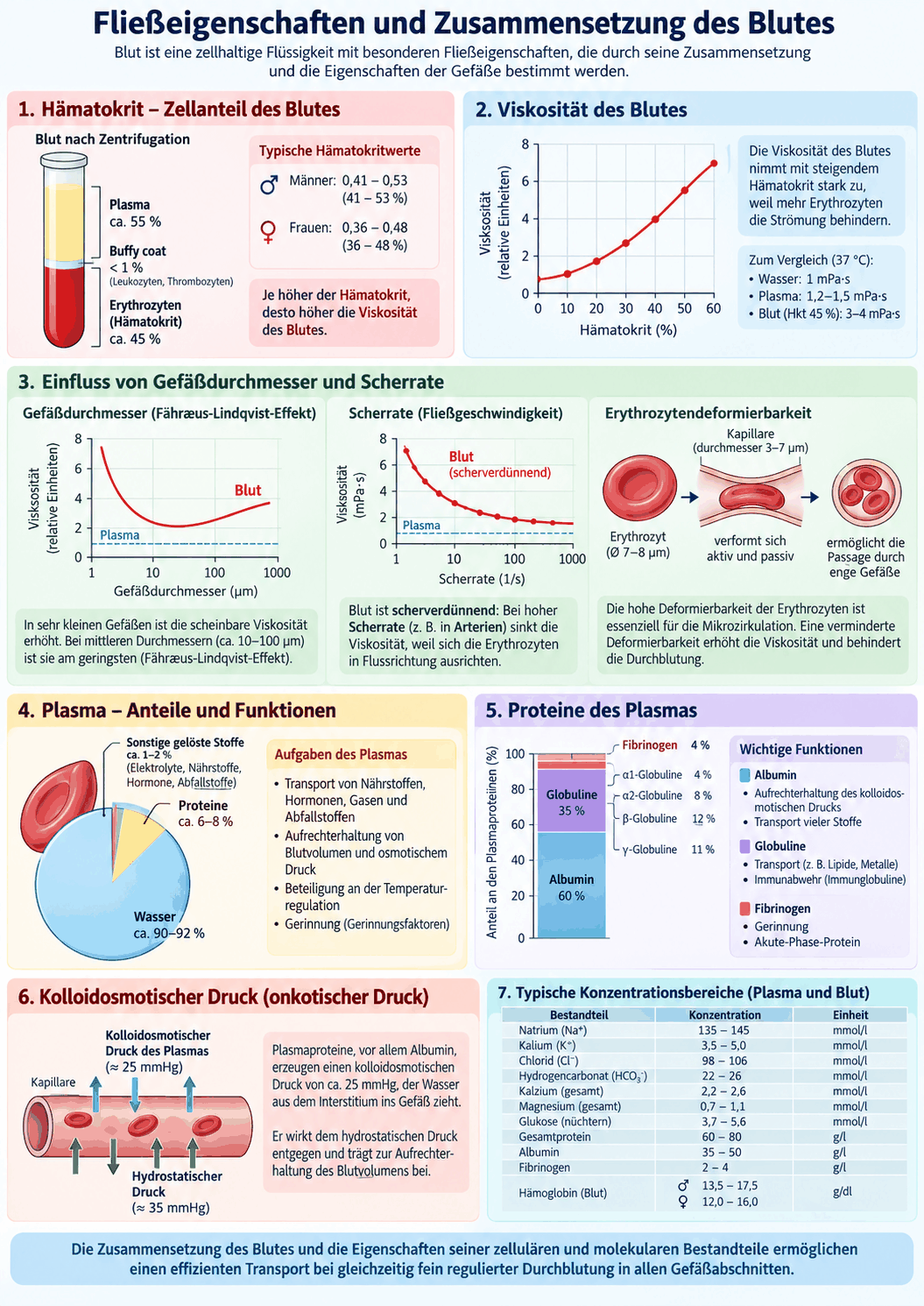 Schema der Fließeigenschaften des Blutes mit Geschwindigkeitsprofil im Gefäß, axialer Anordnung der Erythrozyten in kleinen Gefäßen, wandnaher Plasmaschicht und Geldrollenbildung bei langsamer Strömung