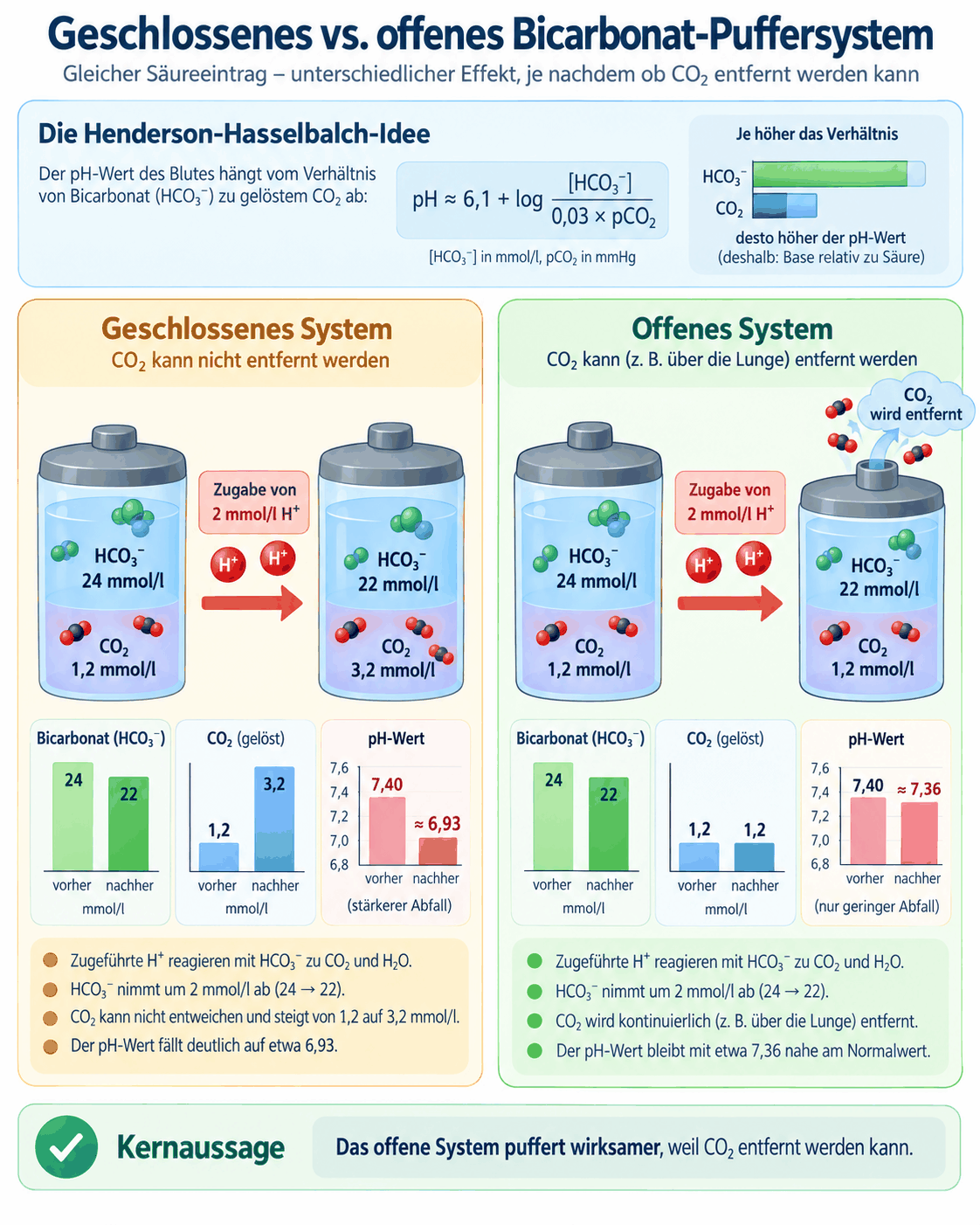Gegenüberstellung eines geschlossenen und eines offenen Bicarbonat-Puffersystems: im geschlossenen System steigt der Kohlendioxidpartialdruck nach Säurezugabe an und begrenzt die Pufferwirkung, im offenen System wird das entstandene Kohlendioxid abgeatmet, sodass der Partialdruck konstant bleibt und der pH-Wert deutlich weniger abfällt