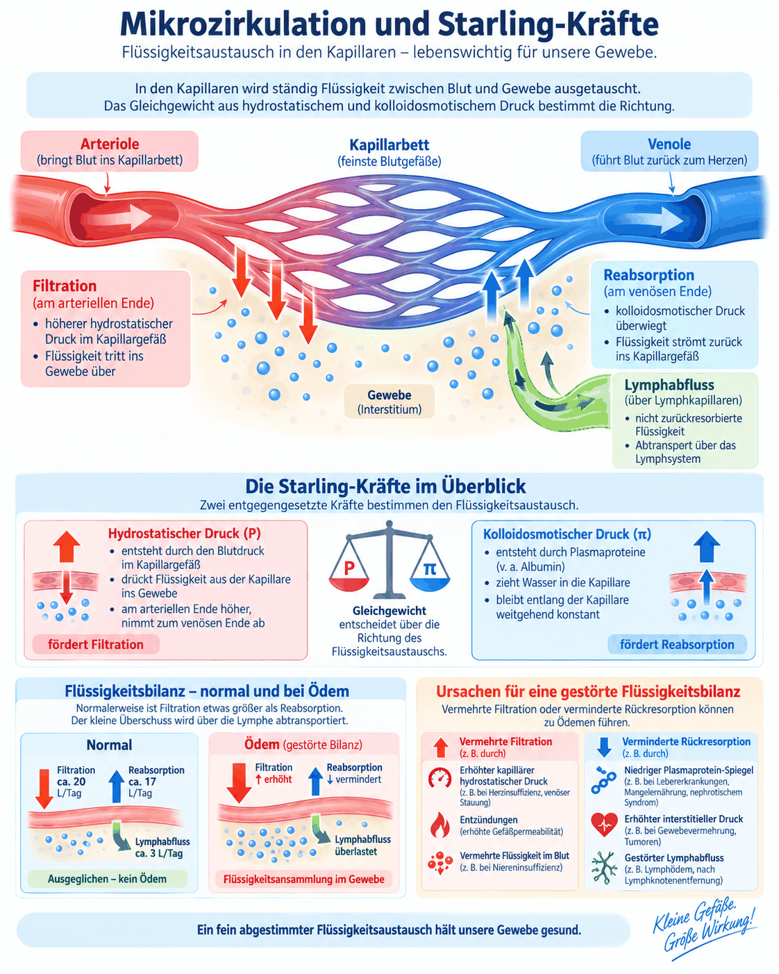 Schaubild der Mikrozirkulation mit Arteriole, Kapillarbett und Venole, den Starling-Kräften aus hydrostatischem und kolloidosmotischem Druck, dem Lymphabfluss und den Ursachen einer gestörten Flüssigkeitsbilanz