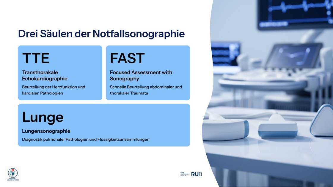 Folie 8: TTE FAST Lunge