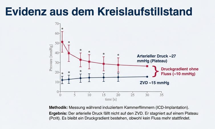 Evidenz aus dem Kreislaufstillstand