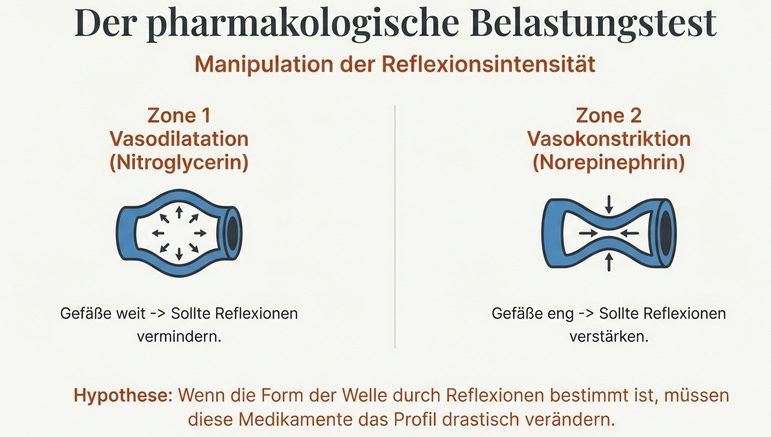 Nitroglycerin gegen Noradrenalin