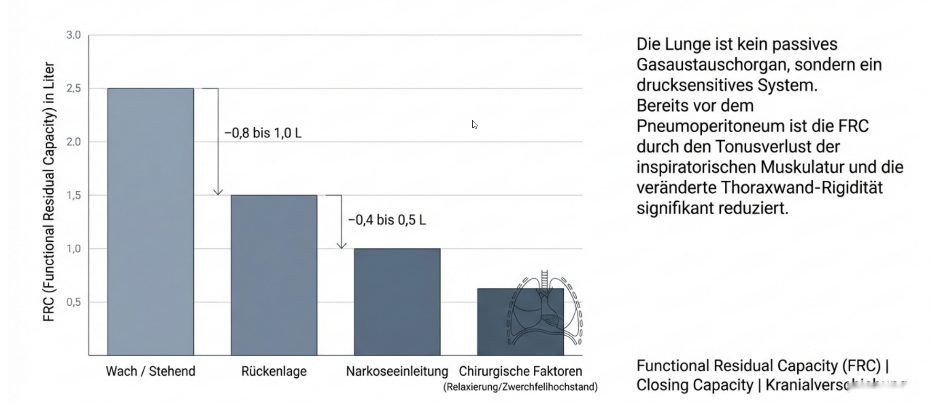 FRC-Verlust und Atelektase bei Adipositas