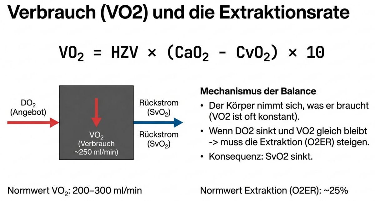 Abbildung 6: VO2