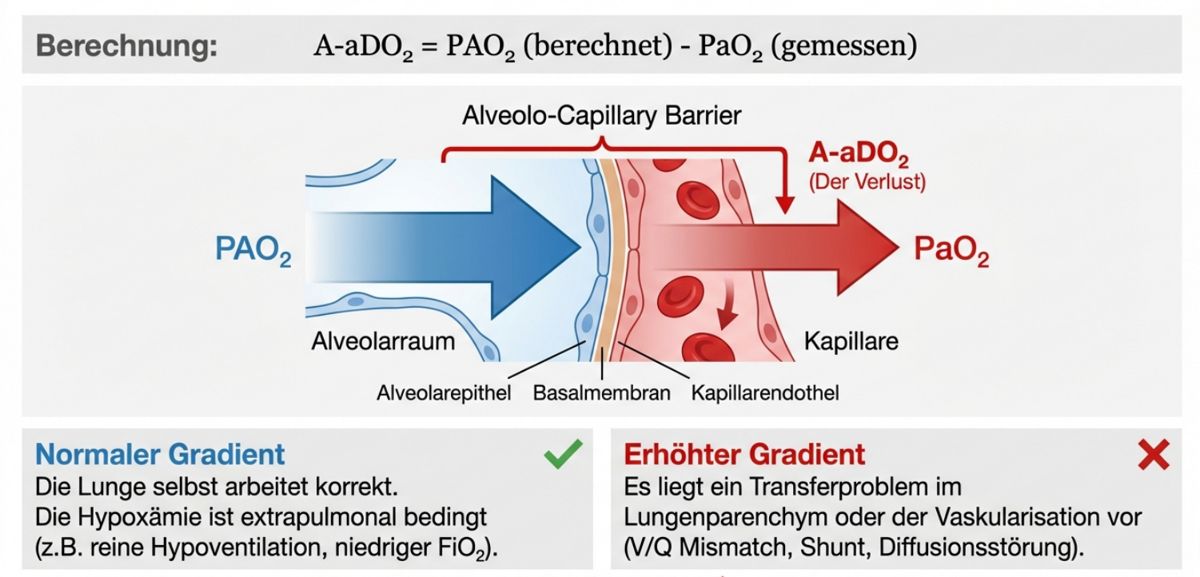 Abbildung 3: A-aDO2
