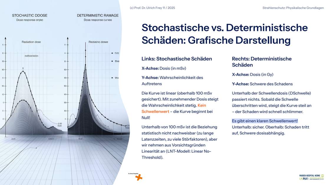 Folie 32: Stochastische vs. Deterministische Schäden: Grafische Darstellung