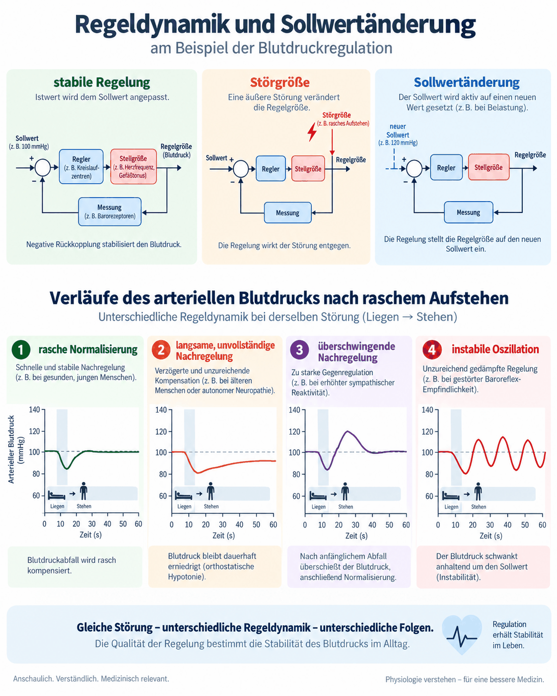 Oben drei Schemata: stabile Regelung, starke Störgröße und Sollwertverstellung. Unten vier Verläufe des arteriellen Mitteldrucks nach raschem Aufstehen: rasche Normalisierung, langsame unvollständige Nachregelung, überschwingende Regelung und instabile Oszillation.